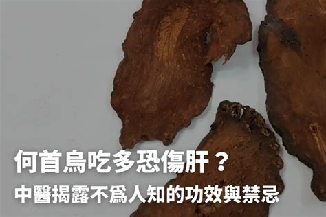 制何首烏粉|何首烏秋冬進補怎麼吃？醫列功效禁忌＋何首烏藥膳做。